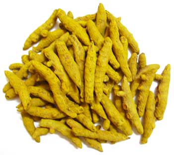 Turmeric Fingers Manufacturer Supplier Wholesale Exporter Importer Buyer Trader Retailer in Virudhunagar Tamil Nadu India